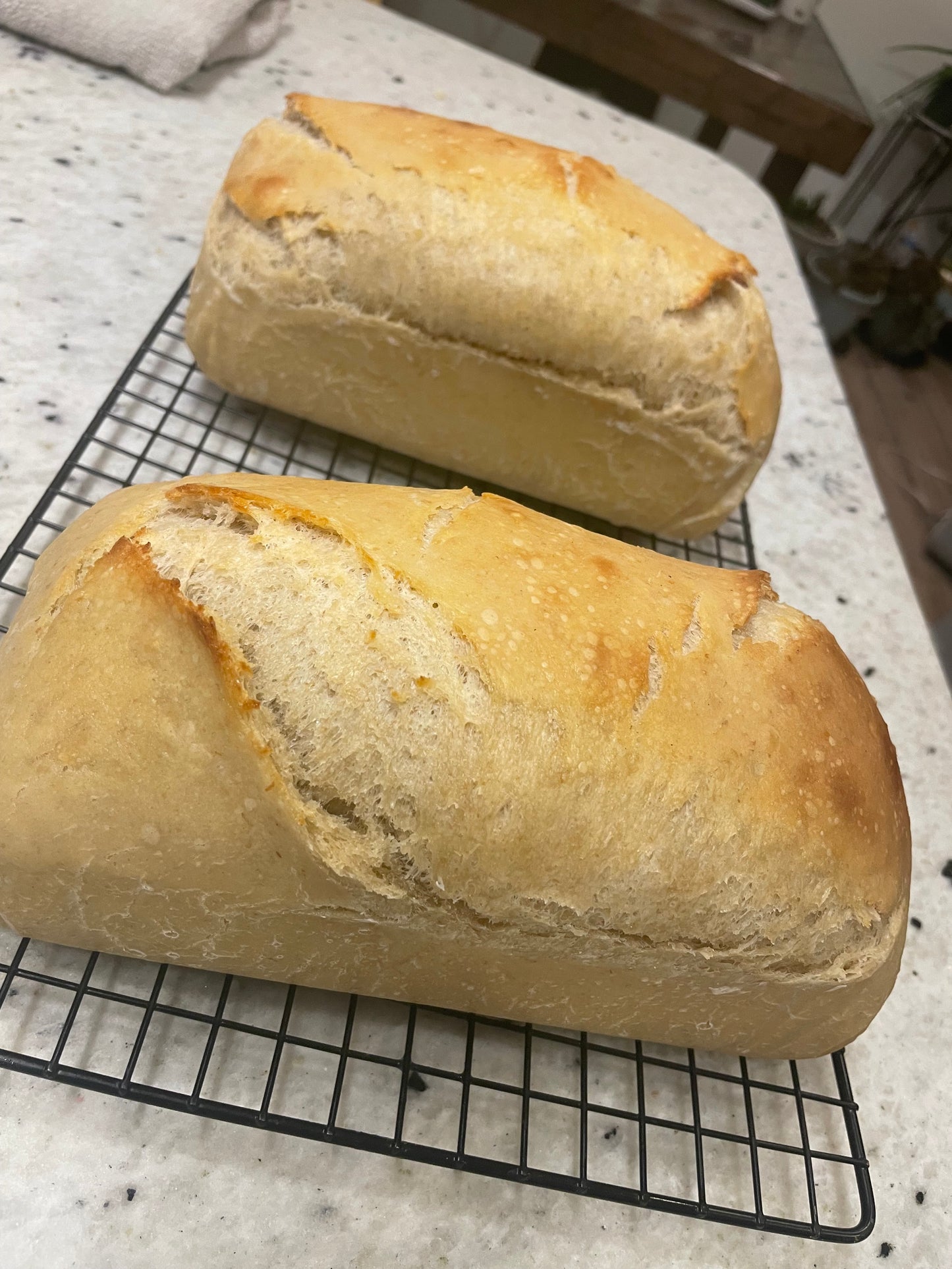 Artisan Bread